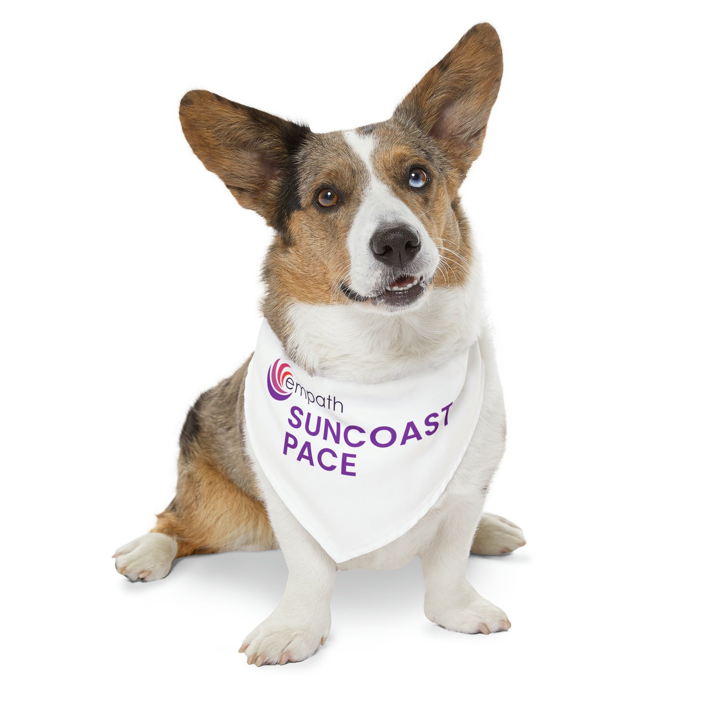 Pet Bandana Collar - PACE