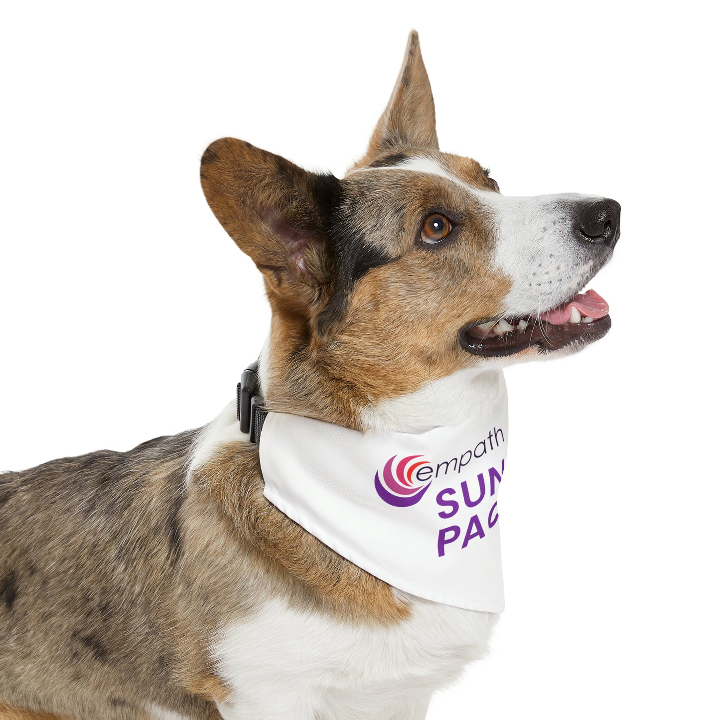 Pet Bandana Collar - PACE