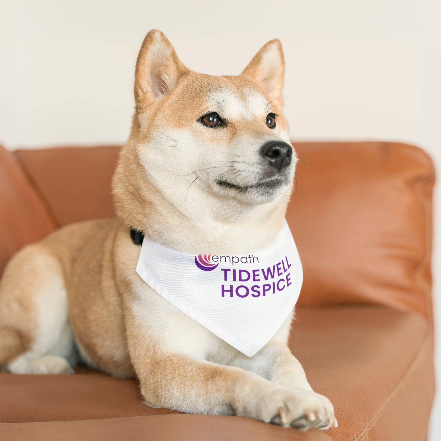 Pet Bandana Collar - Tidewell Hospice