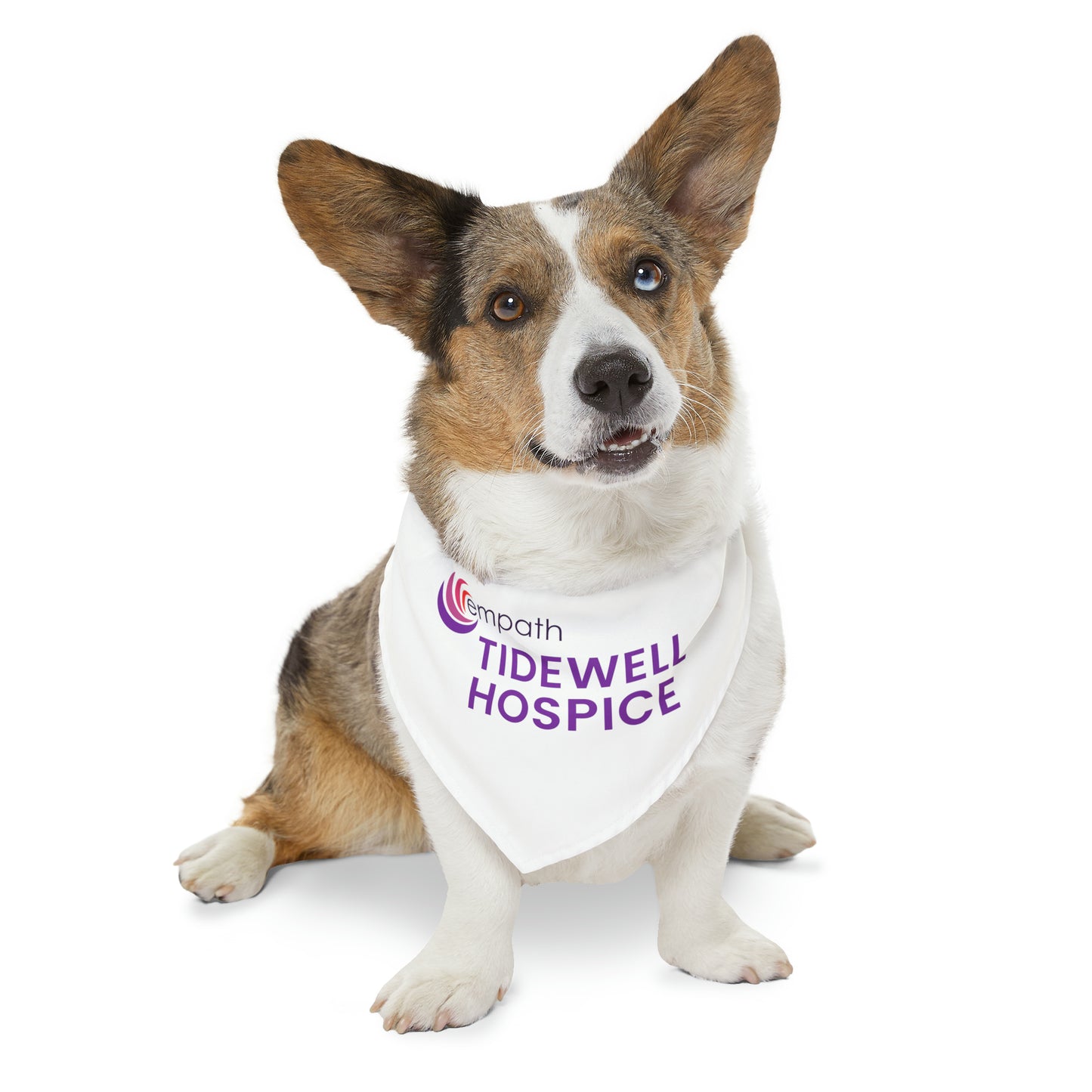 Pet Bandana Collar - Tidewell Hospice