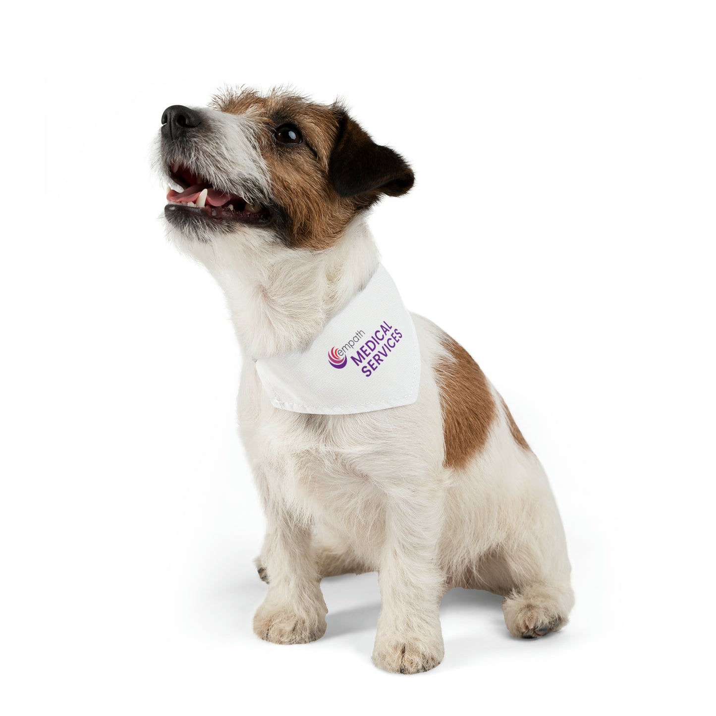 Pet Bandana Collar - Empath Medical Services