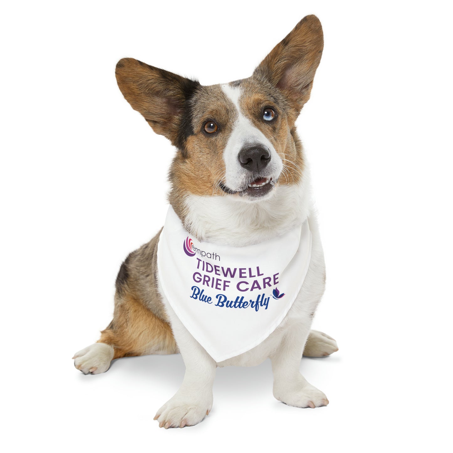 Pet Bandana Collar - Tidewell Blue Butterfly