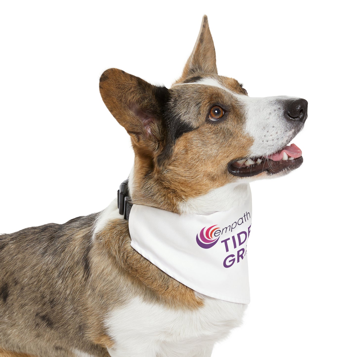 Pet Bandana Collar - Tidewell Grief Care