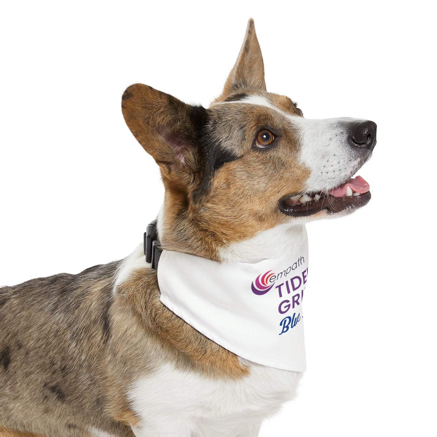 Pet Bandana Collar - Tidewell Blue Butterfly