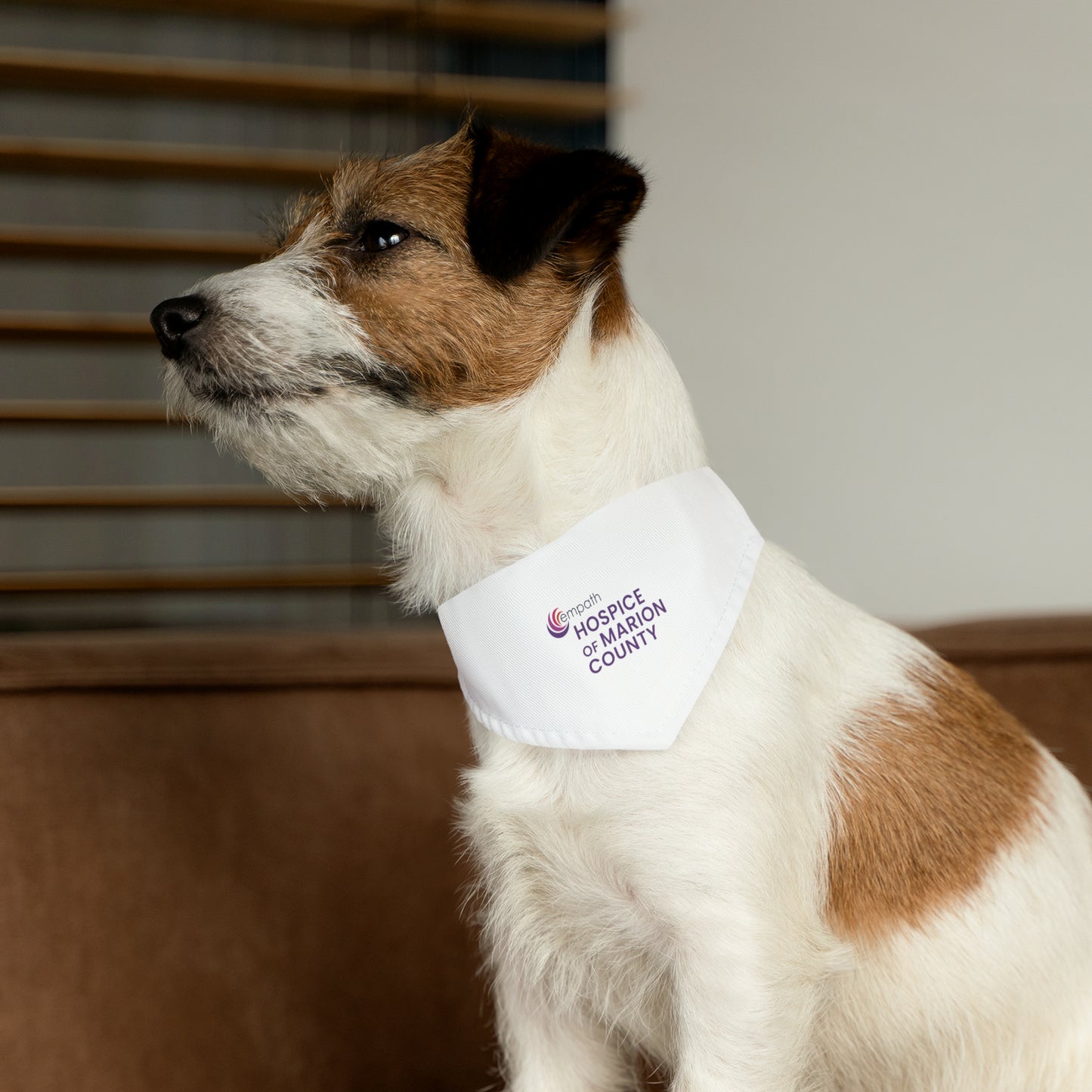 Pet Bandana Collar - Hospice of Marion County