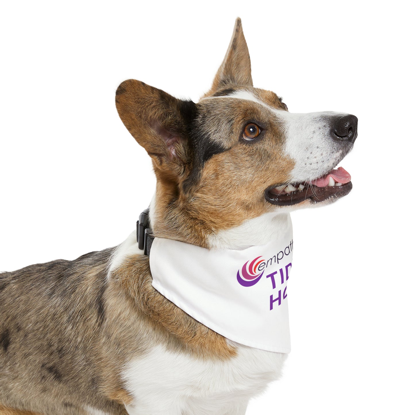 Pet Bandana Collar - Tidewell Hospice