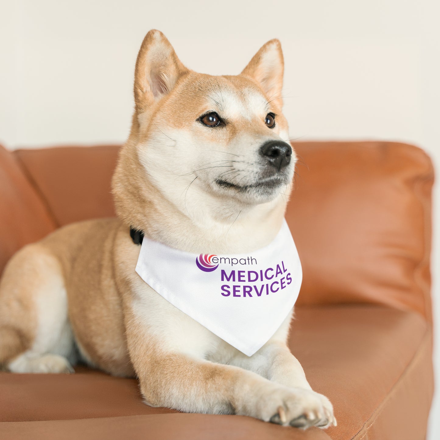 Pet Bandana Collar - Empath Medical Services