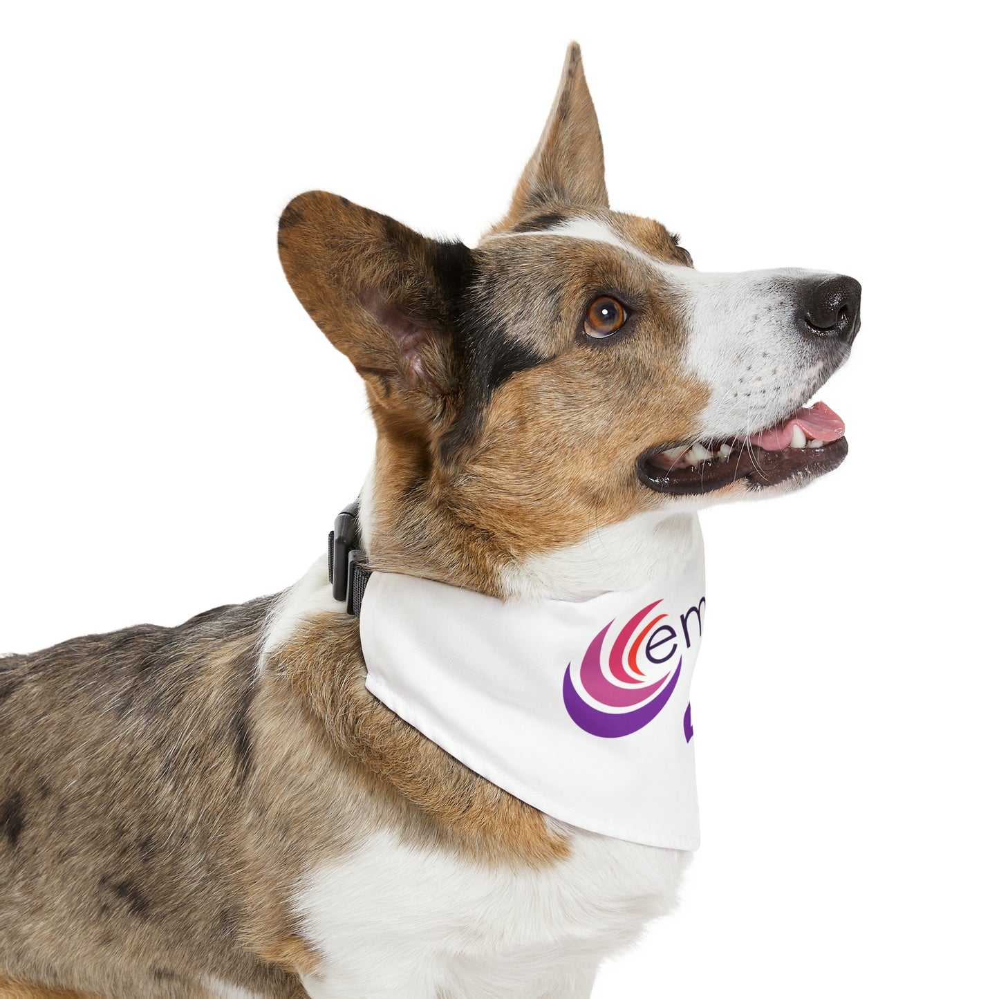 Pet Bandana Collar - Empath Life