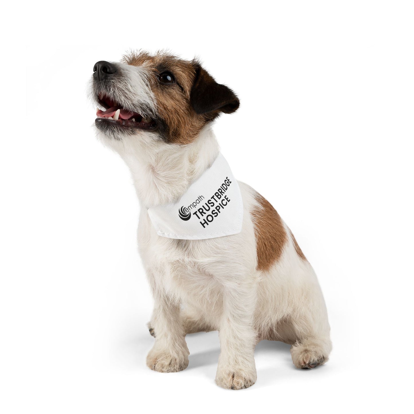 Pet Bandana Collar - Trustbridge Hospice