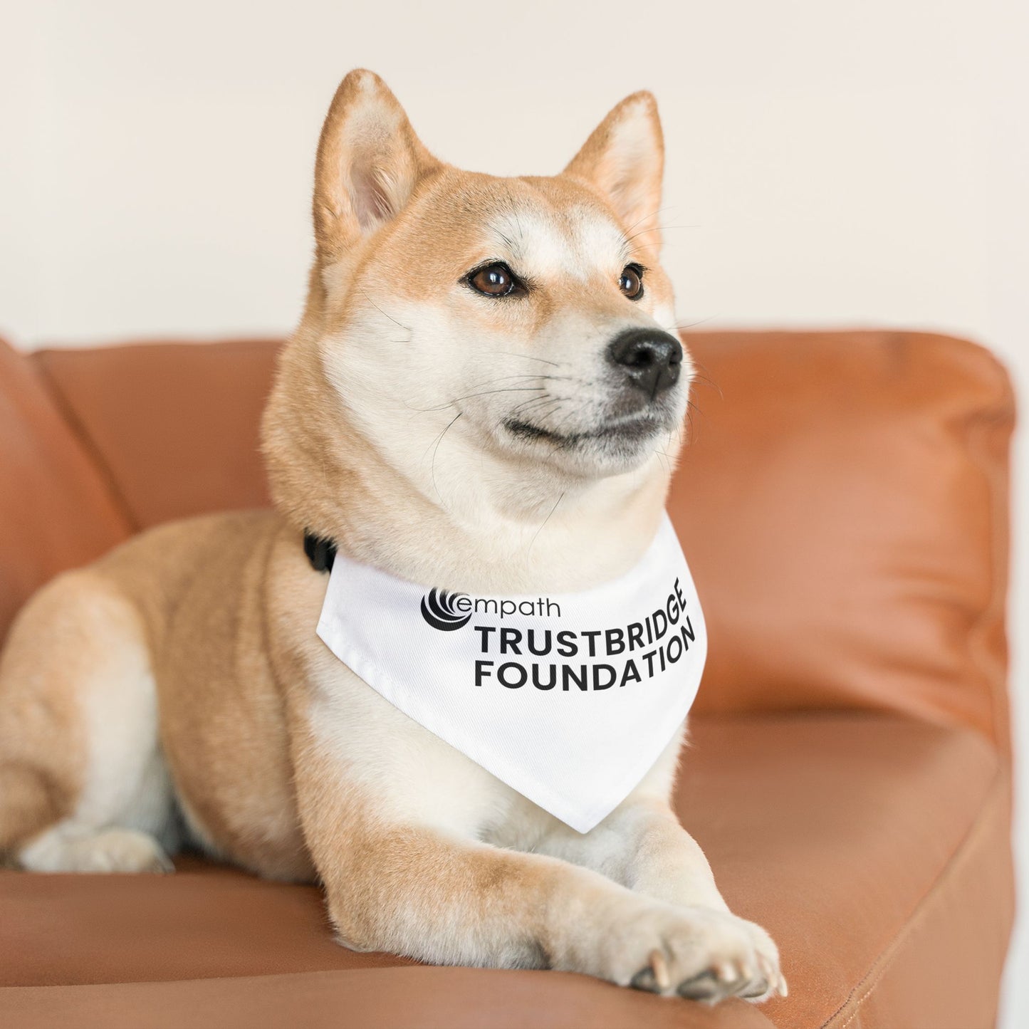 Pet Bandana Collar - Trustbridge Foundation