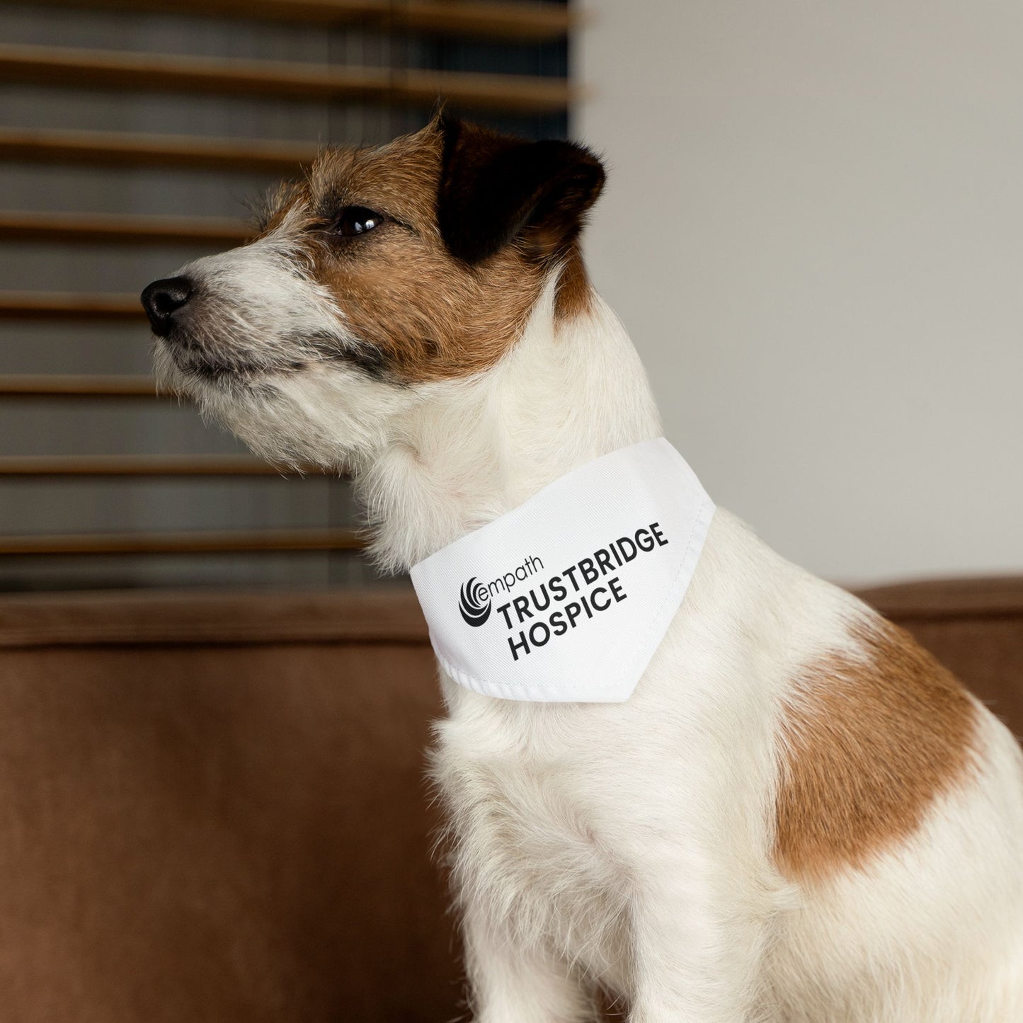 Pet Bandana Collar - Trustbridge Hospice