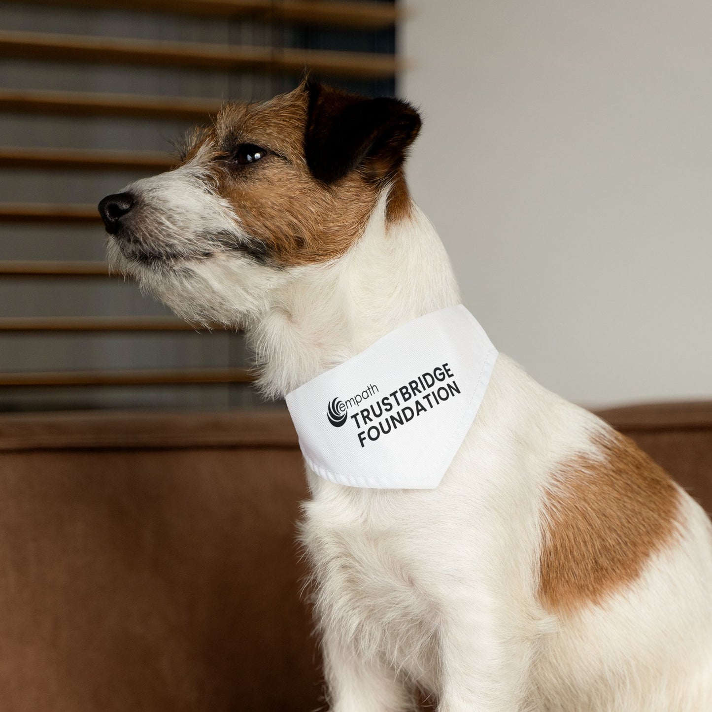 Pet Bandana Collar - Trustbridge Foundation