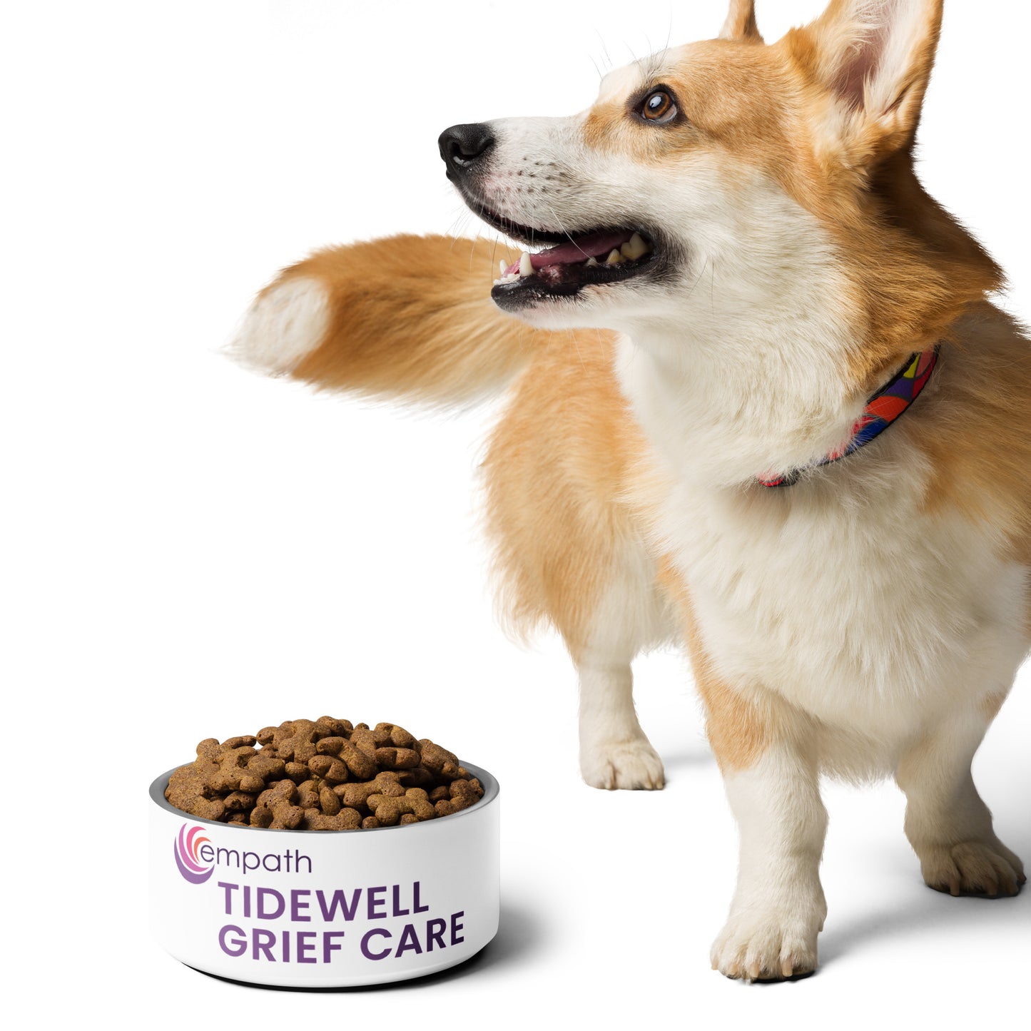 Pet bowl - Tidewell Grief Care