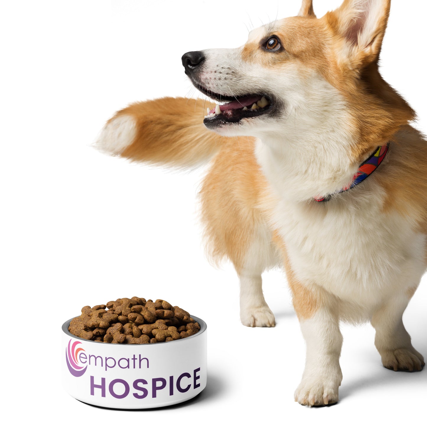 Pet bowl - Empath Hospice